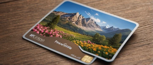 wooden mockup,floral greeting card,salt meadow landscape,july pass,floral mockup,square card,tea card,memory cards,3d mockup,alpine meadow,card deck,dolomiti,frame mockup,digital photo frame,mountain meadow,a plastic card,memory card,dachstein,val gardena,micro sd card,Photography,General,Natural