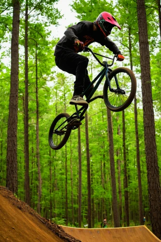 fullpipe,freeride,half-pipe,slopestyle,freeriding,grind rail,dirt jumping,half pipe,downhill mountain biking,mtb,redbud,halfpipe,downhill,bmx,shred,bike land,freestyle bmx,shredding,bmx bike,singletrack,Conceptual Art,Fantasy,Fantasy 09