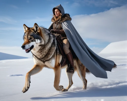 bohemian shepherd,king shepherd,saarloos wolfdog,sled dog,heroic fantasy,mushing,warrior woman,wolf hunting,dog sled,female warrior,norse,wolfdog,tamaskan dog,norwegian lundehund,northern inuit dog,transylvanian hound,fantasy picture,imperial coat,carpathian shepherd dog,howling wolf,Photography,General,Natural