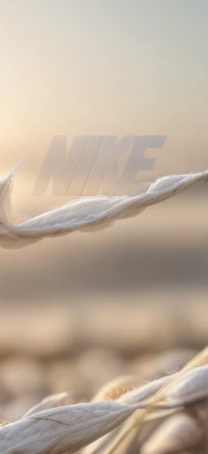 wire rope,natural rope,wire,wire entanglement,woven rope,rope,twine,mooring rope,rope detail,wind wave,tide-low,twisted rope,rope (rhythmic gymnastics),fishing nets,ropes,boat rope,fishing net,dune sea,dune grass,wire fence,Material,Material,Cotton
