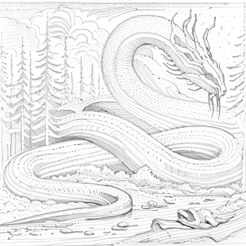 chinese dragon,wyrm,forest dragon,serpent,dragon,emperor snake,dragon design,dragon of earth,basilisk,coloring page,dragon li,hand-drawn illustration,snake pattern,python,garter snake,western terrestrial garter snake,constrictor,bhutan,illustration,pointed snake,Design Sketch,Design Sketch,Hand-drawn Line Art