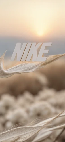 nike,wheat,natural rope,jute rope,ski rope,laces,desert background,sand seamless,rope,wire rope,dubai desert,athletic shoe,woven rope,track spikes,hiking shoe,natural material,linen,steel rope,climbing rope,logo header,Material,Material,Cotton