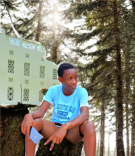 greenbox,forestry,danbo,bushbox,african boy,carton boxes,photo shoot with edit,think outside the box,eco hotel,forest background,nature and man,rwanda,cube house,green congo,bench,wooden block,cooling house,treehouse,live in nature,fir forest