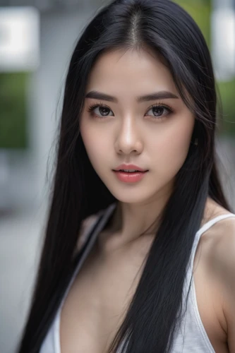 asian girl,asian woman,vietnamese,asian semi-longhair,青龙菜,phuquy,vietnamese woman,asian vision,miss vietnam,asian,korean,mulan,eurasian,xuan lian,beautiful young woman,chinese background,pi mai,pretty young woman,filipino,taiwanese,Photography,General,Natural