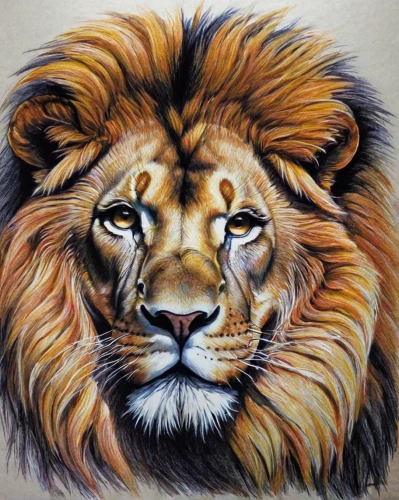 male lion,lion,african lion,female lion,panthera leo,lion head,forest king lion,masai lion,lion number,lion white,oil painting on canvas,skeezy lion,two lion,lion - feline,oil painting,pencil art,leo,lion father,a tiger,glass painting,Conceptual Art,Fantasy,Fantasy 29