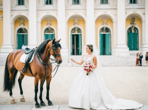 wedding photography,arabian horses,swiss guard,wedding photo,belgian horse,beautiful horses,andalusians,chiavari chair,wedding couple,horse-drawn carriage pony,arabian horse,silver wedding,horse harness,the horse at the fountain,wedding photographer,horse breeding,bride and groom,equestrian,horse carriage,bridal dress,Conceptual Art,Fantasy,Fantasy 16