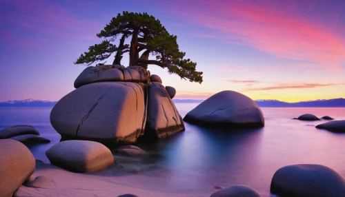 lake tahoe,vancouver island,isolated tree,lone tree,tahoe,ruby beach,norway island,the japanese tree,british columbia,norway coast,stacked rocks,dragon tree,natural scenery,zen rocks,landscape background,landscape photography,background with stones,japan landscape,pine tree,beautiful landscape,Photography,Documentary Photography,Documentary Photography 15