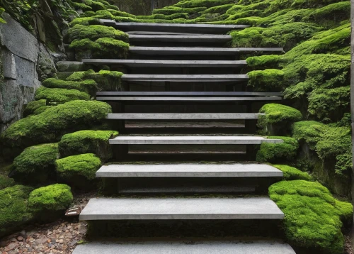 stone stairs,stone stairway,moss,winding steps,steps,terraced,japan garden,aaa,japanese zen garden,outside staircase,ginkaku-ji,stairs,stairway to heaven,japanese garden,kyoto,stairway,patrol,forest moss,ryokan,green garden,Illustration,Japanese style,Japanese Style 10