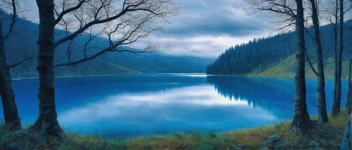 glacial lake,alpine lake,heaven lake,blue painting,forest landscape,beautiful lake,nature landscape,river landscape,lago grey,landscape background,mountainlake,mountain lake,natural landscape,high mountain lake,winter lake,landscape nature,blue waters,evening lake,calm water,lake terchin,Illustration,Realistic Fantasy,Realistic Fantasy 05