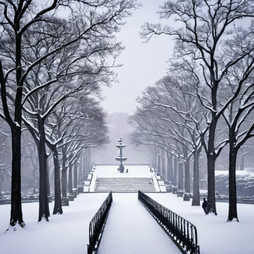 tree-lined avenue,tuileries garden,snow landscape,snowy landscape,winter wonderland,winter background,the snow falls,winter landscape,wintry,snow scene,fragrant snow sea,snow bridge,champ de mars,tree lined path,snowfall,snow trees,glory of the snow,washington dc,winter dream,central park,Illustration,Children,Children 02