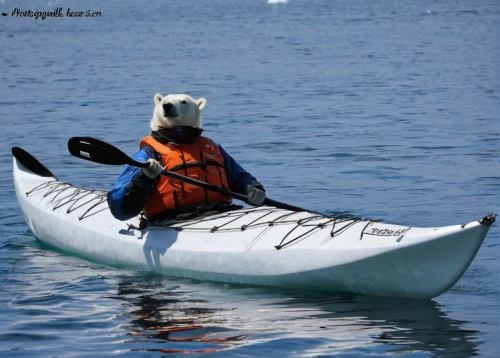 sea kayak,kayaker,seal hunting,kayak,beagle channel,inflatable boat,personal water craft,rigid-hulled inflatable boat,marine mammal,kayaking,canoeing,coast guard inflatable boat,capsizes,ocean rowing,steller sea lion,tamaskan dog,skull rowing,paddle boat,aquatic mammal,dinghy sailing,Illustration,Japanese style,Japanese Style 06