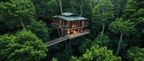 tree house hotel,treehouse,tree house,house in the forest,tree tops,tree top,treetops,lookout tower,fire tower,treetop,timber house,hanging houses,wooden sauna,tree top path,inverted cottage,the cabin in the mountains,observation tower,stilt house,wooden house,house in mountains,Photography,Documentary Photography,Documentary Photography 08