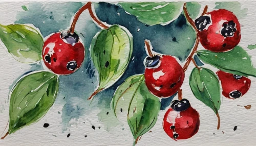 watercolor fruit,rose hip berries,cherries in a bowl,watercolor christmas pattern,holly berries,watercolor christmas background,cherries,red berries,bubble cherries,berries,rosehip berries,mixed berries,pomegranate,rose hips,rosehips,bowl of fruit in rain,heart cherries,watercolor tea,ripe berries,green rose hips,Conceptual Art,Oil color,Oil Color 24