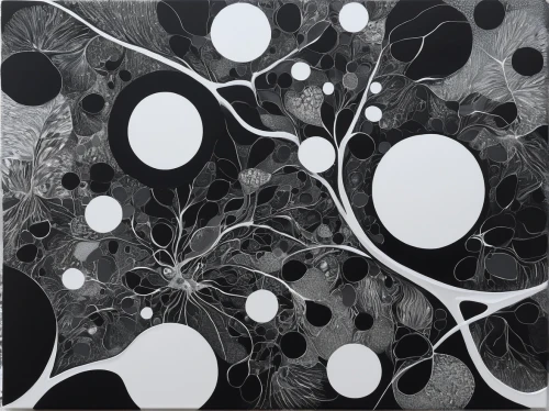 neurons,neural pathways,axons,synapse,nerve cell,tangle,cell division,nucleus,macrocystis,spores,cells,nucleoid,spheres,cell structure,embryonic,gray-scale,neural network,neurath,fruiting bodies,black landscape,Illustration,Black and White,Black and White 27
