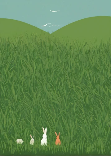 hare field,easter background,hare trail,rabbit family,rabbits and hares,rabbits,hare coursing,wild rabbit in clover field,bunnies,hares,springtime background,hoppy,easter rabbits,peter rabbit,grass family,wild rabbit,background vector,spring background,white rabbit,field hare,Illustration,Japanese style,Japanese Style 08