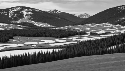 salt meadow landscape,icefield parkway,sunshinevillage,jasper national park,icefields parkway,alpine meadows,rocky mountain,rocky mountains,snowy mountains,snowfield,backcountry skiiing,kicking horse,white mountains,moraine,salt meadows,elk reposing on lateral moraine,the beauty of the mountains,rockies,slowinski national park,snow fields,Illustration,Vector,Vector 06