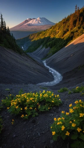 mount saint helens,mount st helens,washington state mt st helens,mount hood,mt hood,volcanic landscape,mount rainier,the chubu sangaku national park,mount fuji,mt fuji,rainier,mt rainier,kamchatka,elbrus,oregon,the valley of flowers,kirkjufell river,fuji mountain,the amur adonis,japan landscape,Conceptual Art,Daily,Daily 03