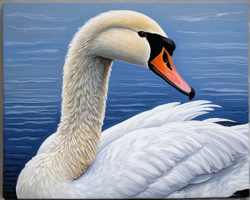 tundra swan,trumpeter swan,trumpeter swans,swans,swan pair,mute swan,canadian swans,constellation swan,swan,cygnet,the head of the swan,pelecanus onocrotalus,swan on the lake,white swan,snow goose,eastern white pelican,rallidae,trumpet of the swan,young swan,swan lake,Illustration,Black and White,Black and White 20