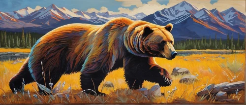 kodiak bear,denali,brown bear,brown bears,bear kamchatka,grizzly bear,nordic bear,great bear,grizzlies,kodiak,alaska,bison,denali national park,bear guardian,teton,bears,bear,grizzly,scandia bear,grizzly cub,Illustration,Black and White,Black and White 17