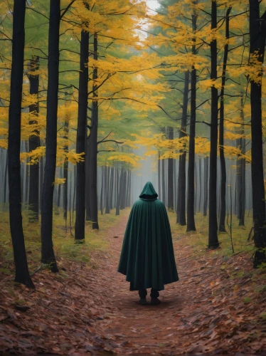hooded man,world digital painting,forest path,cloak,the mystical path,digital painting,the wanderer,the path,woman walking,forest man,green forest,pilgrimage,forest walk,girl walking away,in the fall of,wanderer,the forest,sci fiction illustration,red riding hood,forest background,Photography,Documentary Photography,Documentary Photography 34