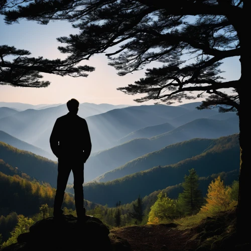 nature and man,landscape background,silhouette of man,background view nature,the spirit of the mountains,man silhouette,background vector,world digital painting,forest background,free wilderness,background image,creative background,people in nature,temperate coniferous forest,carpathians,mountain scene,wilderness,overlook,towards the top of man,blue ridge mountains,Art,Artistic Painting,Artistic Painting 41