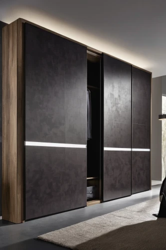 dark cabinetry,walk-in closet,room divider,dark cabinets,armoire,cabinetry,cabinets,search interior solutions,sideboard,tv cabinet,storage cabinet,hinged doors,cupboard,interior modern design,entertainment center,sliding door,wardrobe,metal cabinet,contemporary decor,kitchen cabinet,Conceptual Art,Fantasy,Fantasy 34