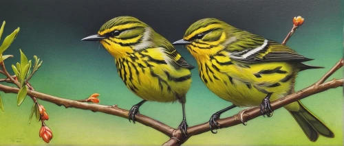 siskins,goldfinches,bird painting,finches,golden parakeets,saffron bunting,songbirds,yellow-green parrots,birds on a branch,yellowhammer,passerine parrots,society finches,budgies,tropical birds,townsend's warbler,pine warbler,birds on branch,bird couple,finch bird yellow,dickcissel,Conceptual Art,Fantasy,Fantasy 03