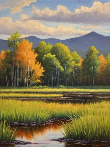 salt meadow landscape,fall landscape,freshwater marsh,autumn landscape,meadow landscape,vermont,tidal marsh,meadow in pastel,river landscape,rural landscape,new england,wetlands,blue ridge mountains,home landscape,mountain meadow,forest landscape,nature landscape,salt marsh,salt meadows,mountain landscape,Art,Classical Oil Painting,Classical Oil Painting 24