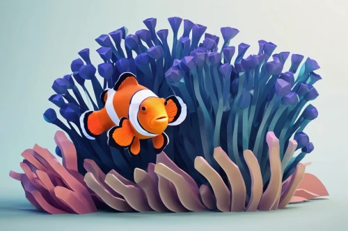 anemone fish,anemonefish,clownfish,amphiprion,anemone of the seas,large anemone,filled anemone,nemo,sea anemone,anemones,anemonin,tube anemone,anemone honorine jobert,flaccid anemone,ray anemone,coral fish,anemone,clown fish,coral guardian,clark's anemone,Unique,3D,Low Poly