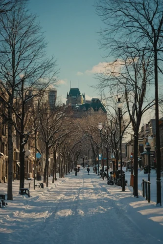 montreal,quebec,ottawa,helsinki,frontenac,winter morning,panorama of helsinki,citadel hill,lachine,snow-capped,in winter,winter wonderland,ekaterinburg,roumbaler,toronto,turku,tree-lined avenue,the boulevard arjaan,winter light,winter background,Photography,Documentary Photography,Documentary Photography 01