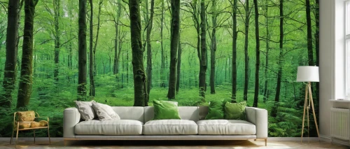 intensely green hornbeam wallpaper,green forest,forest background,mixed forest,forest landscape,birch forest,birch tree background,fir forest,green living,coniferous forest,greenforest,deciduous forest,nursery decoration,green trees,beech forest,forest glade,bamboo curtain,forest tree,fairytale forest,cartoon forest,Art,Artistic Painting,Artistic Painting 07