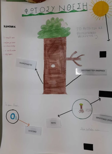 diagram of photosynthesis,photosynthesis,medical concept poster,penny tree,bio,nest workshop,home learning,digestive system,notizbiuch,mnohobarvý,biology,ecological sustainable development,human digestive system,chlorophyll,teaching children to recycle,school design,sustainability,lean startup,montessori,poison plant in 2018