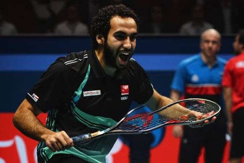 para table tennis,badminton,table tennis,racquet sport,speed badminton,table tennis racket,ball badminton,donskoy,racket,abdel rahman,european championship,rackets,racquet,uae,frontenis,chelidonium,pickleball,danila bagrov,ping-pong,laver,Conceptual Art,Oil color,Oil Color 12