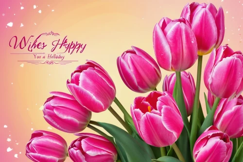 flowers png,tulip background,pink floral background,floral greeting card,pink tulips,spring greeting,floral digital background,flower background,floral background,pink tulip,tulip flowers,spring background,easter background,pink hyacinth,greeting card,easter card,happy mother's day,siam tulip,wild tulips,nowruz,Photography,General,Natural