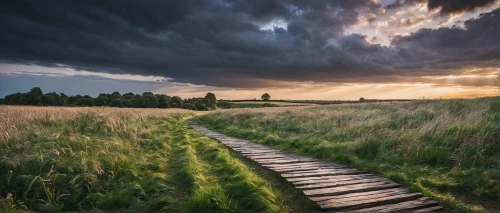 landscape photography,dutch landscape,pathway,the path,the mystical path,wooden path,meadow landscape,path,polder,hiking path,winding steps,aaa,landscape nature,nature landscape,cambridgeshire,footpath,appalachian trail,elbe sandstone mountains,the way of nature,rural landscape,Art,Classical Oil Painting,Classical Oil Painting 13