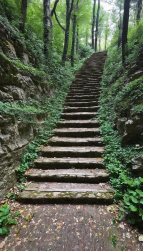 stone stairway,steps,winding steps,stone stairs,climb up,stairway to heaven,trifels,step,gordon's steps,stairway,uphill,steps carved in the rock,zhangjiajie,gangneoung,icon steps,foot steps,hiking path,winners stairs,stairs,wuyi,Illustration,Paper based,Paper Based 28