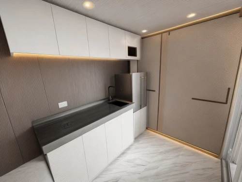 aircraft cabin,luggage compartments,business jet,walk-in closet,luxury bathroom,cabin,private plane,jet bridge,3d rendering,hallway space,modern minimalist bathroom,galley,render,room divider,shower base,capsule hotel,cabinetry,compartments,railway carriage,train compartment,Interior Design,Kitchen,Modern,German Modern Minimalism