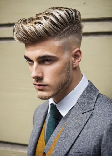pompadour,mohawk hairstyle,management of hair loss,pomade,smooth hair,smart look,layered hair,asymmetric cut,silk tie,male model,british semi-longhair,men's suit,hairstyle,rockabilly style,stylograph,feathered hair,businessman,wooden bowtie,hair shear,men's wear,Art,Artistic Painting,Artistic Painting 50