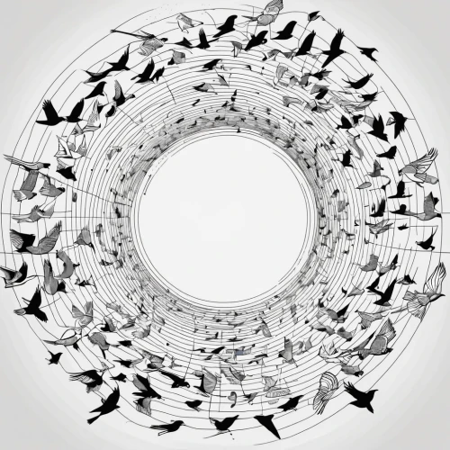 flock of birds,a flock of pigeons,circular puzzle,bird migration,bird pattern,bird frame,birds outline,group of birds,migratory birds,line art wreath,seagulls flock,pigeon flight,ornithology,birds in flight,birds flying,mandala framework,mumuration,key birds,doves and pigeons,flying birds,Illustration,Black and White,Black and White 04