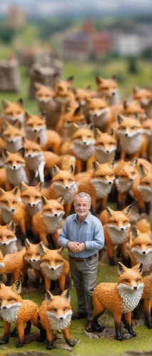 fox hunting,fox stacked animals,foxes,child fox,herd of goats,fox,vulpes vulpes,farmyard,flock of sheep,little fox,przewalski,miniature figures,a flock of sheep,herd,swift fox,schleich,a fox,kit fox,corgis,the herd,Unique,3D,Panoramic