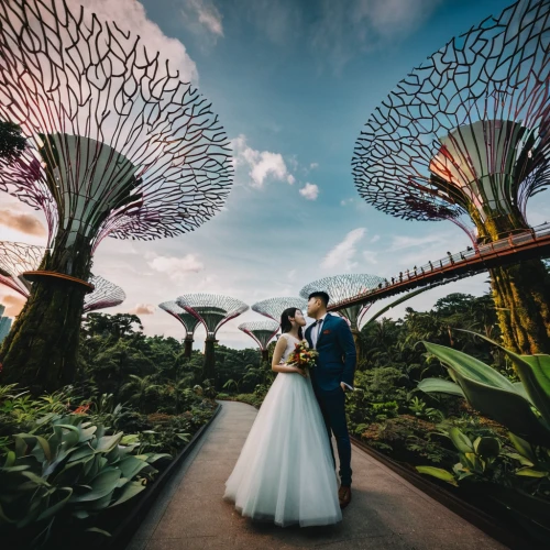 gardens by the bay,singapore,singapura,wedding photography,flower dome,singapore landmark,wedding couple,marina bay,loving couple sunrise,malaysia,royal botanic garden,wedding photographer,canopy walkway,wedding photo,durian seed,couple goal,globe flower,bride and groom,golden weddings,wedding frame,Photography,Artistic Photography,Artistic Photography 13