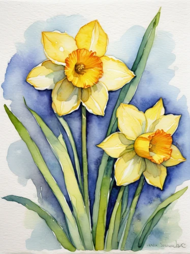 daffodils,watercolour flowers,watercolor flowers,yellow daffodils,watercolour flower,yellow tulips,watercolor flower,yellow daylilies,yellow daffodil,yellow iris,daffodil,daylilies,easter lilies,the trumpet daffodil,jonquils,jonquil,day lily,flower painting,yellow orange tulip,daffodil field,Illustration,Abstract Fantasy,Abstract Fantasy 07