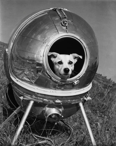 astronaut helmet,space capsule,sputnik,diving helmet,spherical image,cosmonaut,round tin can,plummer terrier,subwoofer,spacefill,potcake dog,tin can,hubcap,helmet,moon rover,spacesuit,space probe,porthole,smaland hound,safety helmet,Photography,Documentary Photography,Documentary Photography 17