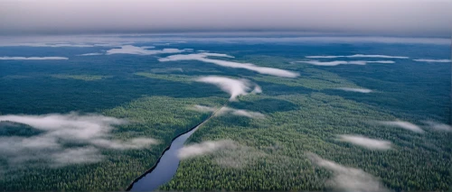 tanana river,north baltic canal,yukon river,aerial landscape,finnish lapland,river delta,oxbow lake,from the air,aura river,slowinski national park,north american fog,aerial photography,flight image,aerial photograph,river landscape,meanders,lion river,boreal,latvia,ore mountains,Art,Artistic Painting,Artistic Painting 39