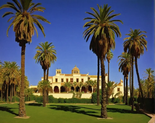 spanish missions in california,stanford university,alcazar of seville,heads of royal palms,royal palms,villa cortine palace,santa barbara,date palms,two palms,hacienda,palma trees,casa fuster hotel,palm pasture,bendemeer estates,wine palm,andalusia,alcazar,fort of santa catalina,termales balneario santa rosa,palmtrees,Illustration,Black and White,Black and White 21