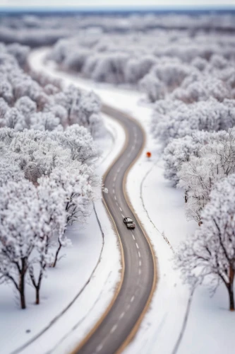 tilt shift,winding roads,snowy landscape,winding road,snow landscape,winter landscape,winter wonderland,roads,maple road,winter forest,treemsnow,mountain road,hoarfrost,winter trip,mountain highway,pikes peak highway,snow trees,road of the impossible,the road,snow trail,Unique,3D,Panoramic