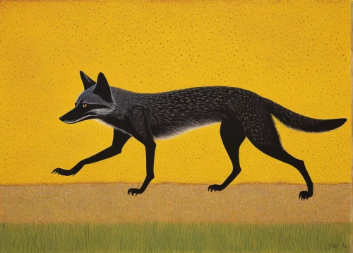 south american gray fox,grey fox,kit fox,coyote,canidae,sand fox,desert fox,swift fox,canis lupus,garden-fox tail,wolf bob,new guinea singing dog,red wolf,canis lupus tundrarum,a fox,anthropomorphized animals,altiplano,wild dog,schipperke,dotted deer,Art,Artistic Painting,Artistic Painting 26
