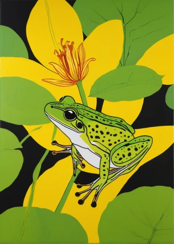 litoria fallax,southern leopard frog,jazz frog garden ornament,northern leopard frog,eastern dwarf tree frog,wallace's flying frog,coral finger tree frog,litoria caerulea,pacific treefrog,squirrel tree frog,green frog,eastern sedge frog,tree frogs,tree frog,barking tree frog,frog through,chorus frog,frog background,pond frog,golden poison frog,Art,Artistic Painting,Artistic Painting 23