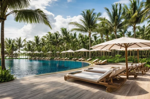 coconut palms,bali,holiday villa,phu quoc,southeast asia,infinity swimming pool,outdoor pool,thailand,tropical house,palm field,tropical island,seminyak,phuket,coconut trees,tropical beach,phu quoc island,sunlounger,luxury property,beach resort,philippines,Illustration,Abstract Fantasy,Abstract Fantasy 16