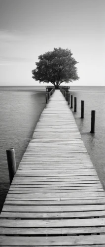 wooden pier,old jetty,teak bridge,jetty,dock,wooden bridge,monochrome photography,blackandwhitephotography,fishing pier,old pier,boat dock,landscape photography,isolated tree,colourless,bench by the sea,wooden path,wood and beach,foreshore,lone tree,equilibrist,Photography,Fashion Photography,Fashion Photography 16